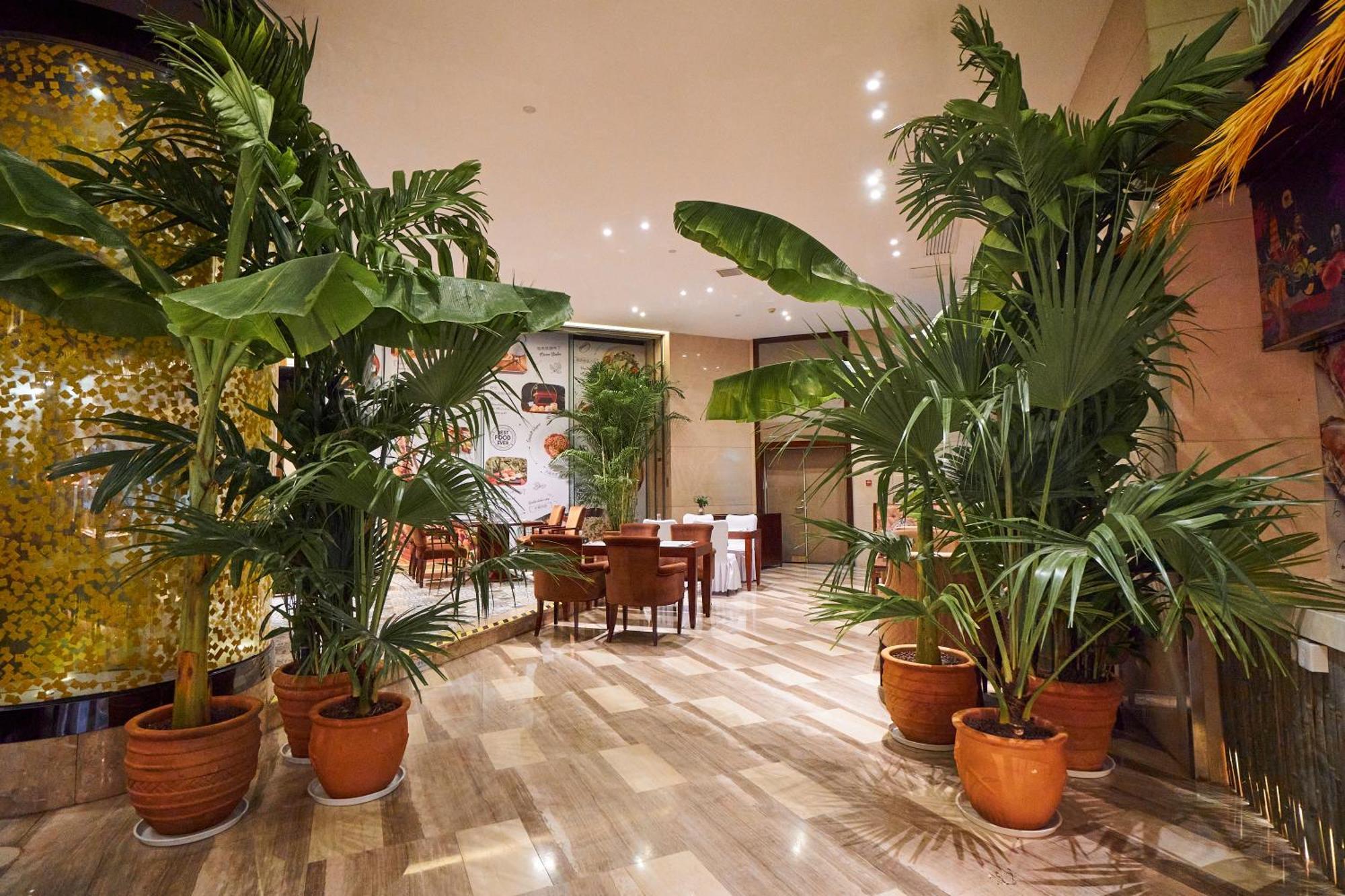 ホテル Wyndham Grand Plaza Royale Chenzhou エクステリア 写真